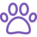 Pets