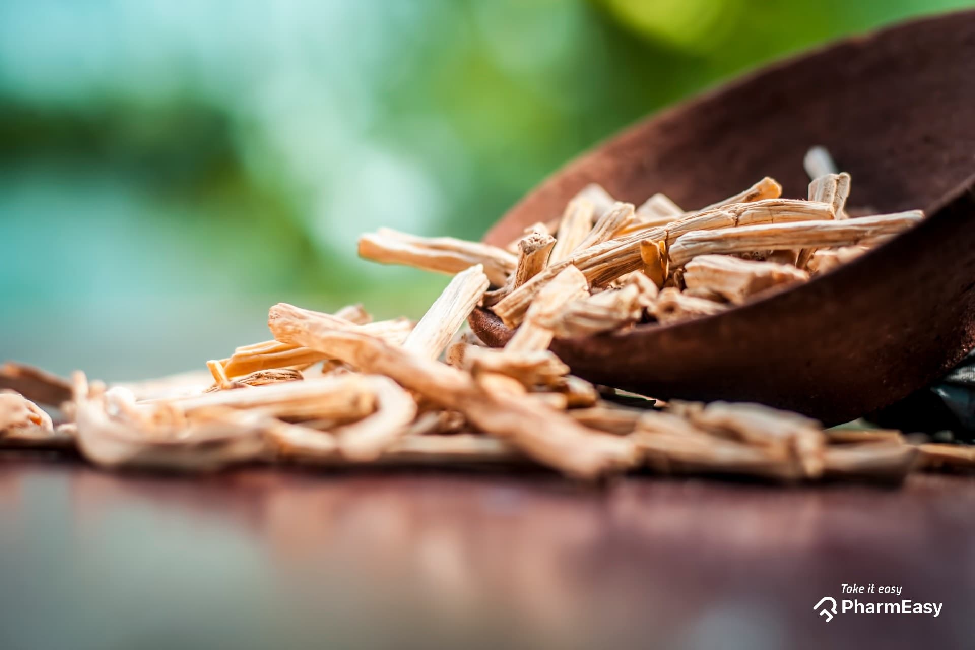 Shatavari Benefits: Uses, Side Effects & More | Doctar