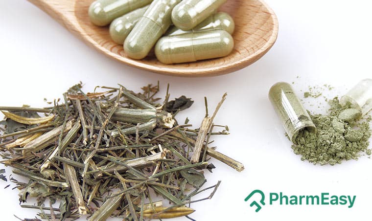 Kalmegh: Your Guide to Benefits, Uses & Side Effects