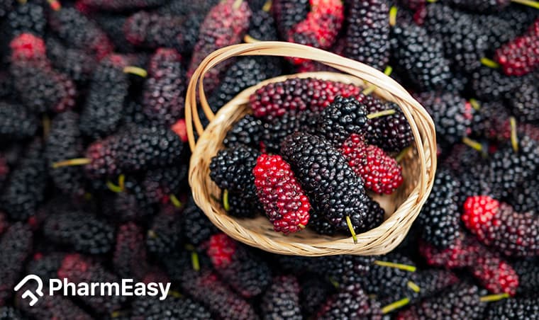 Mulberry (Shahtoot): Health Benefits, Uses & Side Effects in India