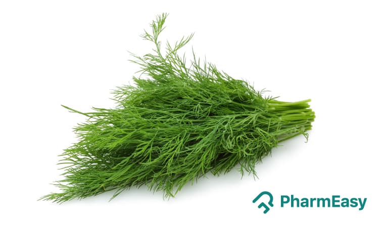 Dill Leaves: Health Benefits, Uses & Potential Side Effects
