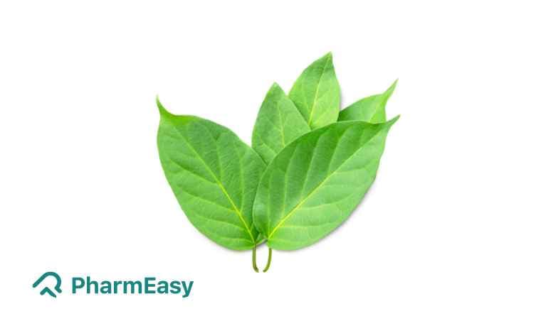 Madhunashini (Gymnema Sylvestre): Uses, Benefits & Side Effects