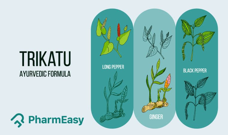 Trikatu Churna: Uses, Benefits & Side Effects by Dr. Rajeev Singh