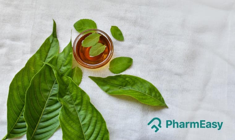 Vasaka Benefits: Harnessing Malabar Nut for Health