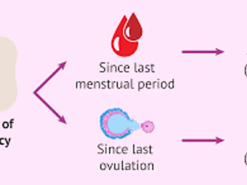 How Long Pregnancy Can Safely Continue After Due Date