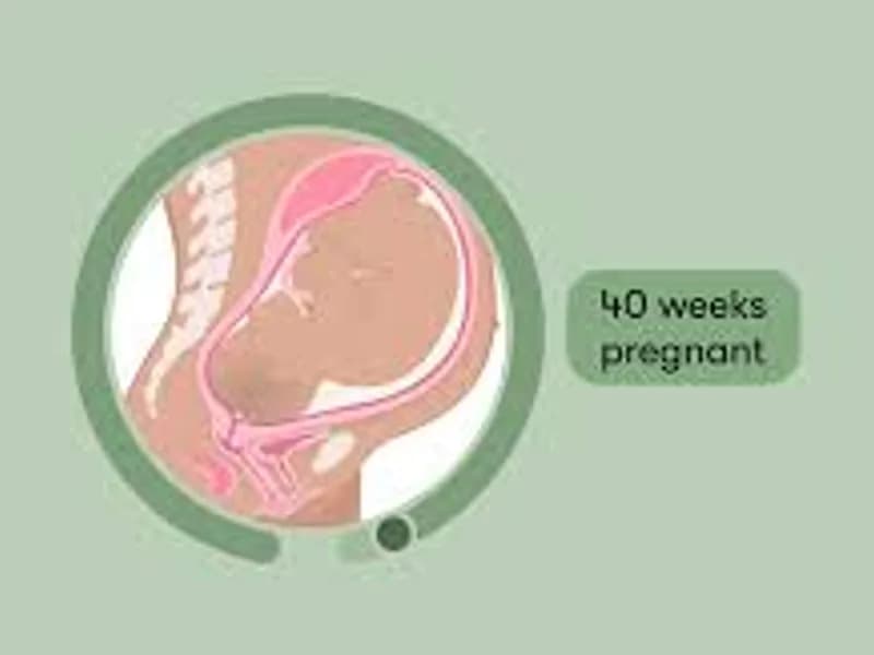 Is It Normal to Have No Pain at 40 Weeks Pregnant