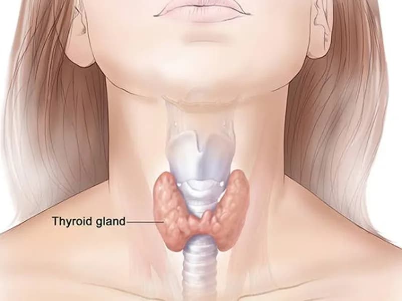 Thyroid Disease: Symptoms, Causes & Thyroid Health Guide