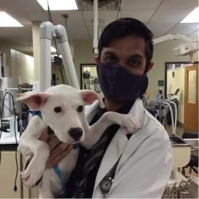 Dr. Ankush Gupta