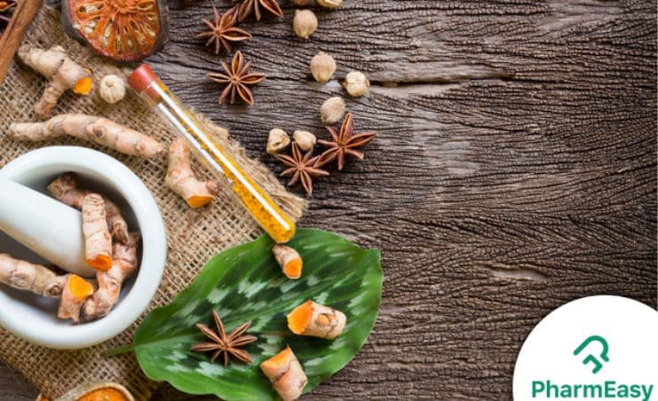 Dengue Diet: Foods to Eat & Avoid for Quick Recovery