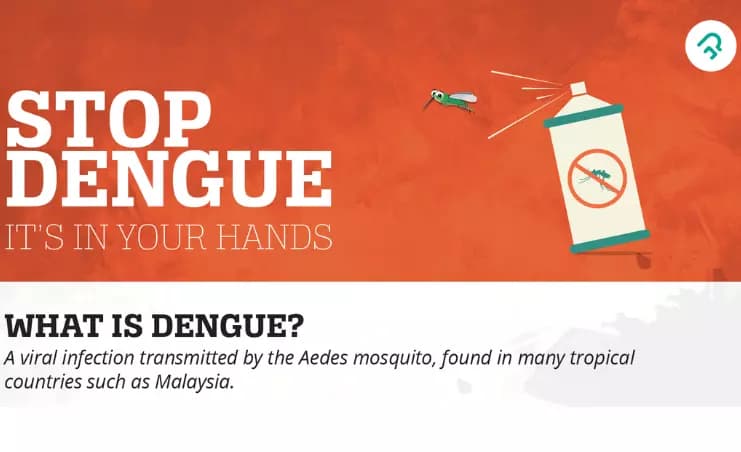 Dengue Prevention: 8 Simple & Effective Measures for Indians