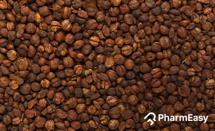 Malkangani: Uses, Benefits, Side Effects & Expert Advice