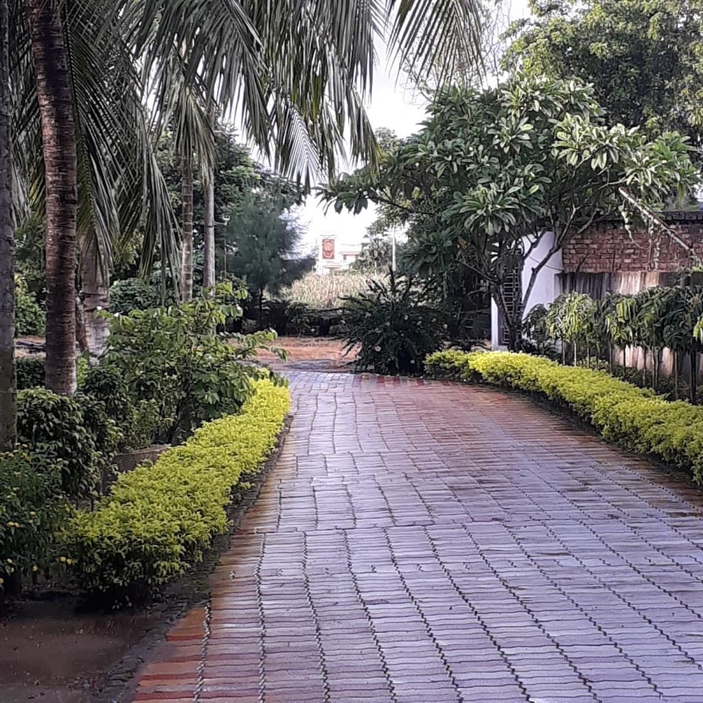 Google photo 8