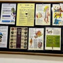 Dr Sangita Chadha's Physiotherapy Clinic