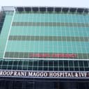 Mata Roop Rani Maggo Hospital and IVF Centre