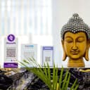 The Happy Tree - De-addiction And Mental Health Hospital