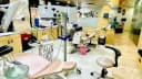 Dr Bhagat’s Ideal Dental Clinic & Implant Centre (SINCE 1967)