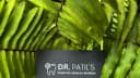 Dr Patil's Centre For Advance Dentistry Clinic