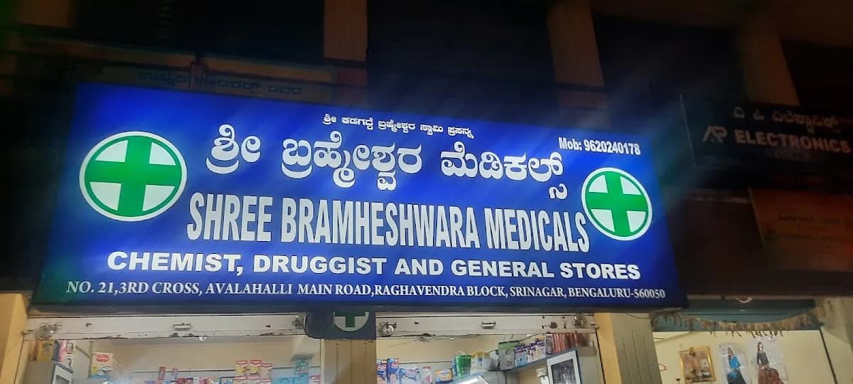 Shree bramheshwara medicals