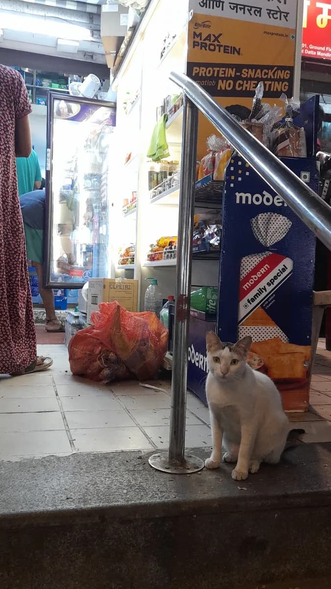 Sai Medical & GENERAL STORES