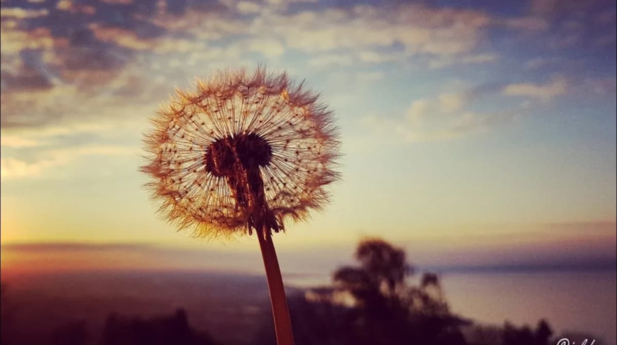 Hajra Medical Stores Pvt Ltd image 1