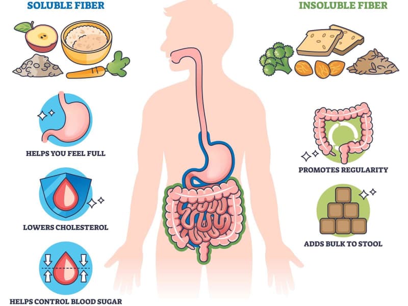 Fiber: The Nutrient Most People Are Dangerously Short On