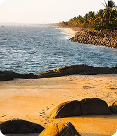 Kozhikode cityscape